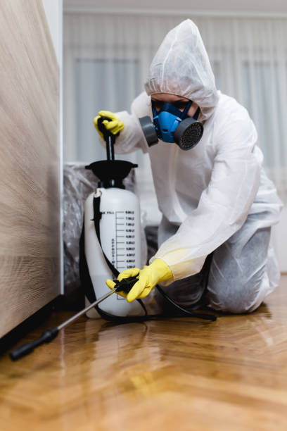 woman exterminator in work wear spraying pesticide or insecticide with sprayer