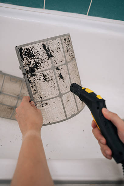 mold 1